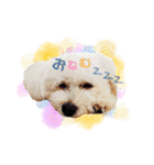 ふうにゃんと仲間たち（個別スタンプ：30）