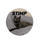 黒猫STIMP（個別スタンプ：6）