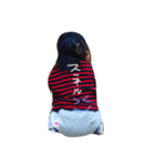 kazo（個別スタンプ：6）