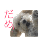 たむるぅ（個別スタンプ：9）