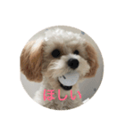 たむるぅ（個別スタンプ：11）