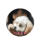 たむるぅ（個別スタンプ：14）