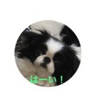 茶茶（個別スタンプ：2）