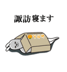 諏訪が使う面白名前スタンプ（個別スタンプ：29）