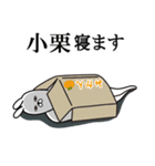 小栗が使う面白名前スタンプ（個別スタンプ：29）