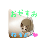 Umiちゃんだよ♡（個別スタンプ：1）