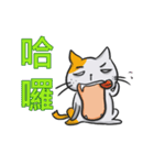 Do not be a couch potato with you cat！（個別スタンプ：18）