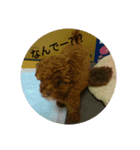 ハッチちゃん（個別スタンプ：2）