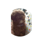 ハッチちゃん（個別スタンプ：3）
