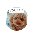 ハッチちゃん（個別スタンプ：8）