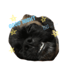 cute chewie（個別スタンプ：6）