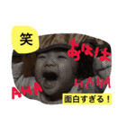 こずの日常スタンプ（個別スタンプ：19）