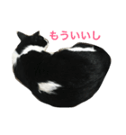 Mokoshi Love.（個別スタンプ：1）