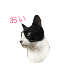 Mokoshi Love.（個別スタンプ：5）