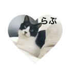 Mokoshi Love.（個別スタンプ：11）