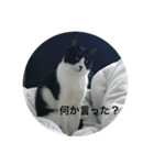 Mokoshi Love.（個別スタンプ：12）