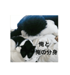 Mokoshi Love.（個別スタンプ：13）