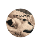Mokoshi Love.（個別スタンプ：14）