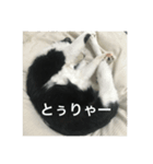 Mokoshi Love.（個別スタンプ：15）