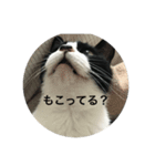 Mokoshi Love.（個別スタンプ：16）