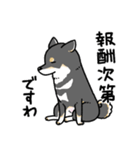 柴犬スタンプ12～黒柴～やさぐれ編（個別スタンプ：4）