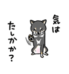 柴犬スタンプ12～黒柴～やさぐれ編（個別スタンプ：36）