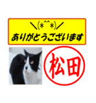 はんこだポン松田様用、顔文字と猫写真付（個別スタンプ：29）