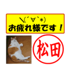 はんこだポン松田様用、顔文字と猫写真付（個別スタンプ：34）