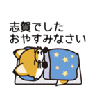 志賀さんと志賀さんの友達専用（個別スタンプ：15）