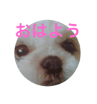 もかもかもか（個別スタンプ：1）