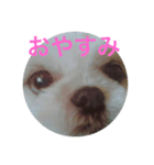 もかもかもか（個別スタンプ：2）