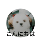 もかもかもか（個別スタンプ：3）
