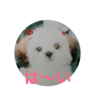 もかもかもか（個別スタンプ：5）
