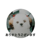 もかもかもか（個別スタンプ：7）