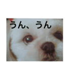 もかもかもか（個別スタンプ：8）