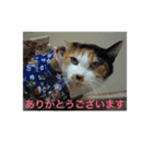 ゆぃ＆もぁ2（個別スタンプ：12）