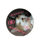 ゆぃ＆もぁ2（個別スタンプ：15）