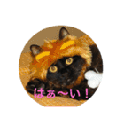 ゆぃ＆もぁ2（個別スタンプ：16）