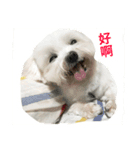 Baby guaiguai（個別スタンプ：3）