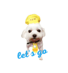 Baby guaiguai（個別スタンプ：4）