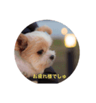 ワンダフルライフ part1（個別スタンプ：13）