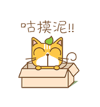 tea cat - daily（個別スタンプ：1）