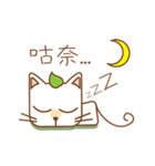 tea cat - daily（個別スタンプ：2）