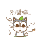 tea cat - daily（個別スタンプ：5）