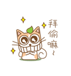 tea cat - daily（個別スタンプ：6）