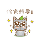 tea cat - daily（個別スタンプ：7）