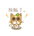 tea cat - daily（個別スタンプ：11）