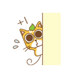 tea cat - daily（個別スタンプ：12）