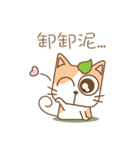 tea cat - daily（個別スタンプ：13）