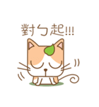 tea cat - daily（個別スタンプ：14）